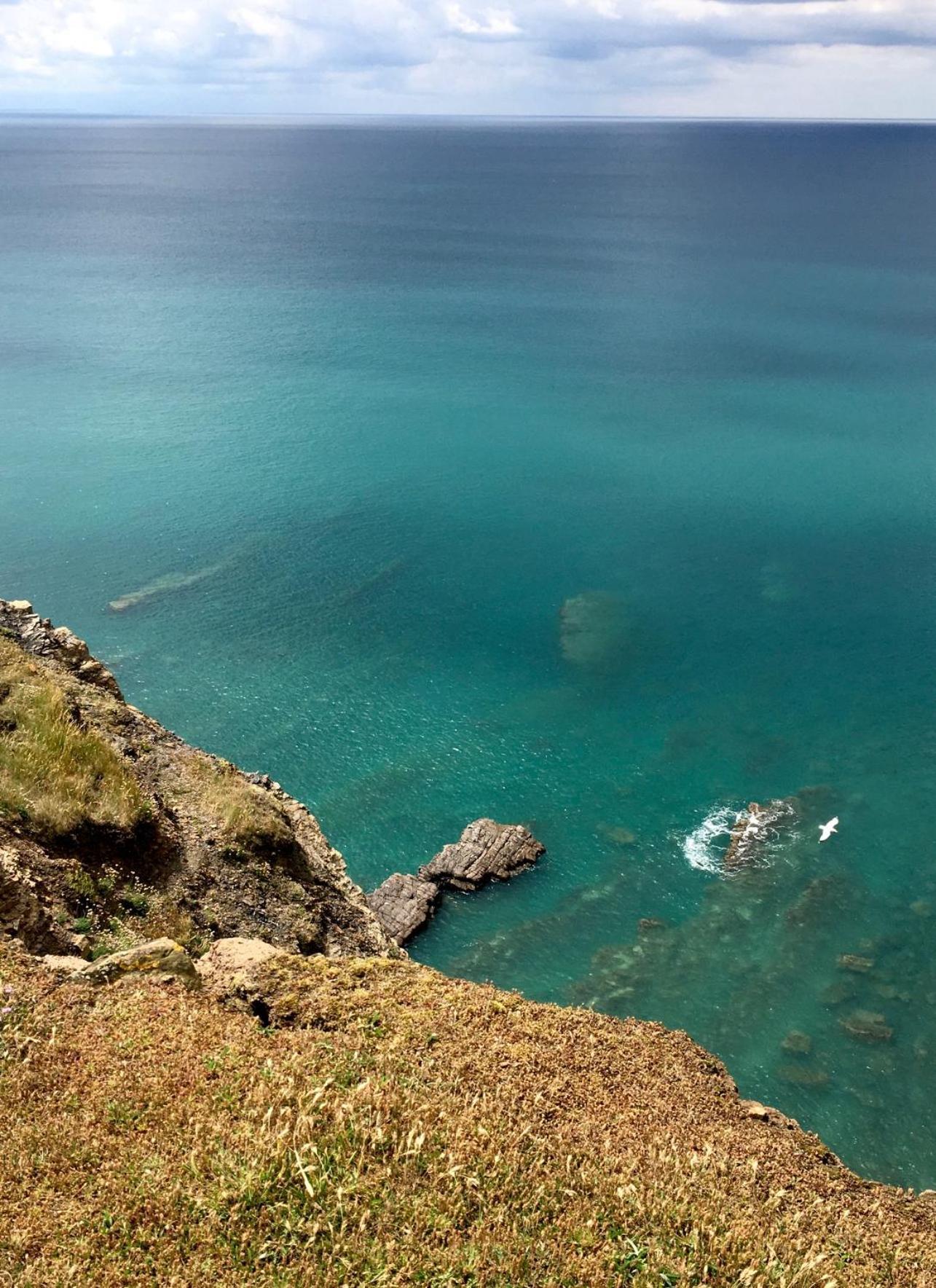 Petrock Holiday Cottages Newton Saint Petrock Екстериор снимка