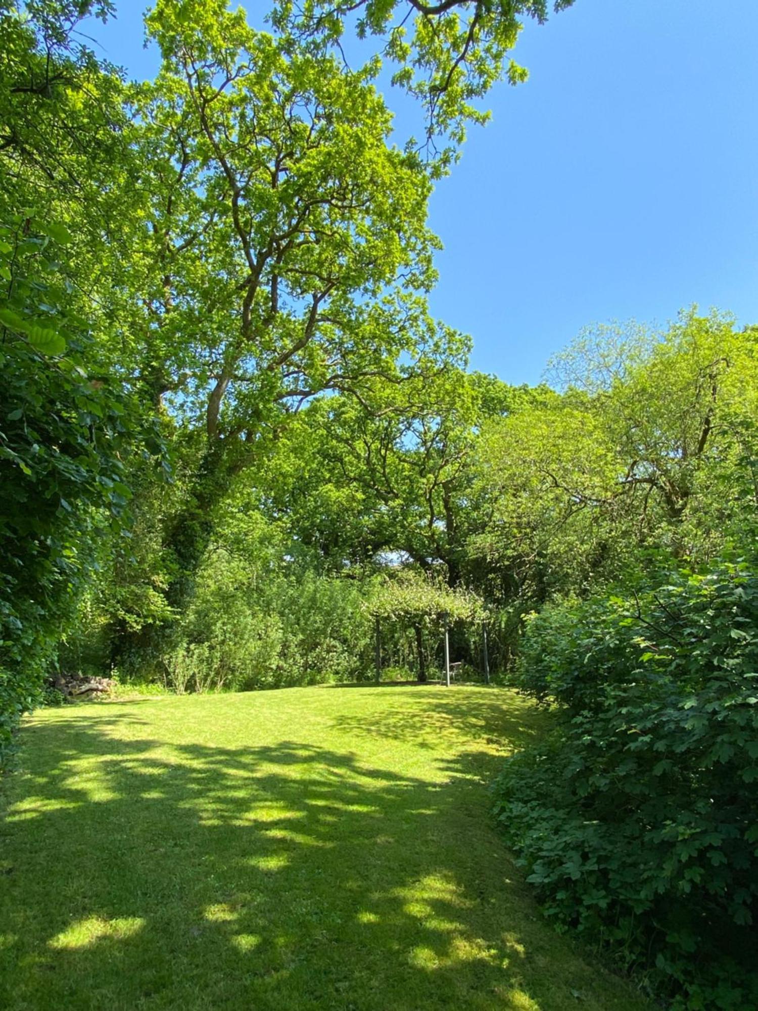 Petrock Holiday Cottages Newton Saint Petrock Стая снимка