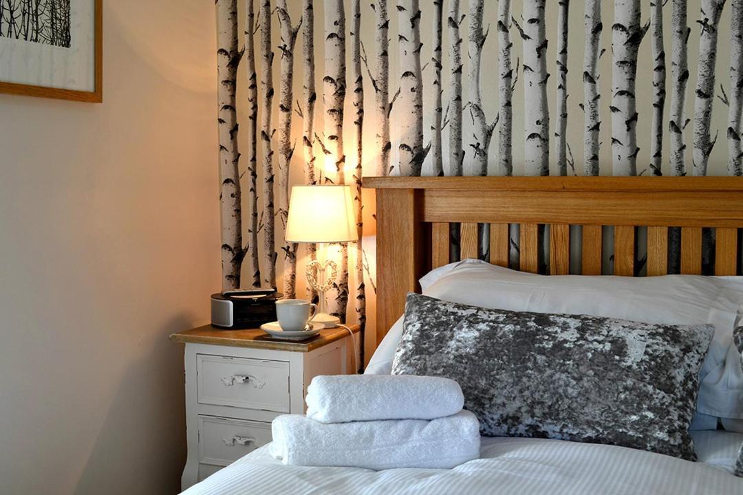 Petrock Holiday Cottages Newton Saint Petrock Екстериор снимка